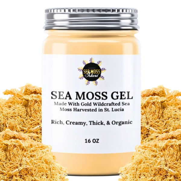 Organic Sea Moss Gel - Wildcrafted Irish Raw Seamoss Gel Nutritious Vegan Supplement - Superfood Rich in Vitamins Minerals & Protein - Harvested in St Lucia (Original Gold 16oz)