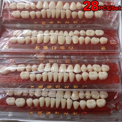 28pcs/set Resin Teeth Dental Materials Colors Shade Guide Teeth Oral Material Resin Teeth Model False Teeth