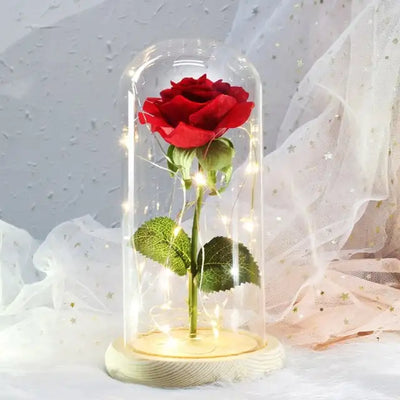 Beauty And The Beast Rose, Rose in Glass Dome, Belle Rose, Enchanted Rose, Infinity Rose, Preserved Rose