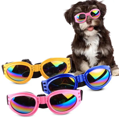 6 Colors Foldable Pet Sunglasses For Small Medium Large Dog Waterproof Pet Glasses Dog Goggles Eye Wear Pet Accessories